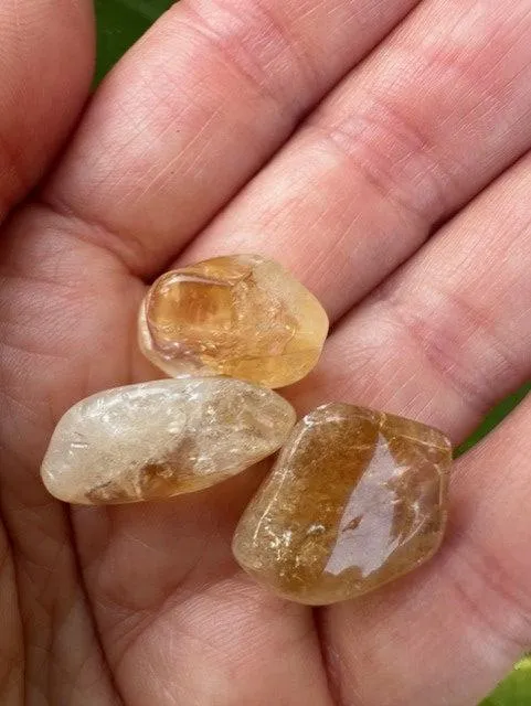 Abundance Crystal Gift Set