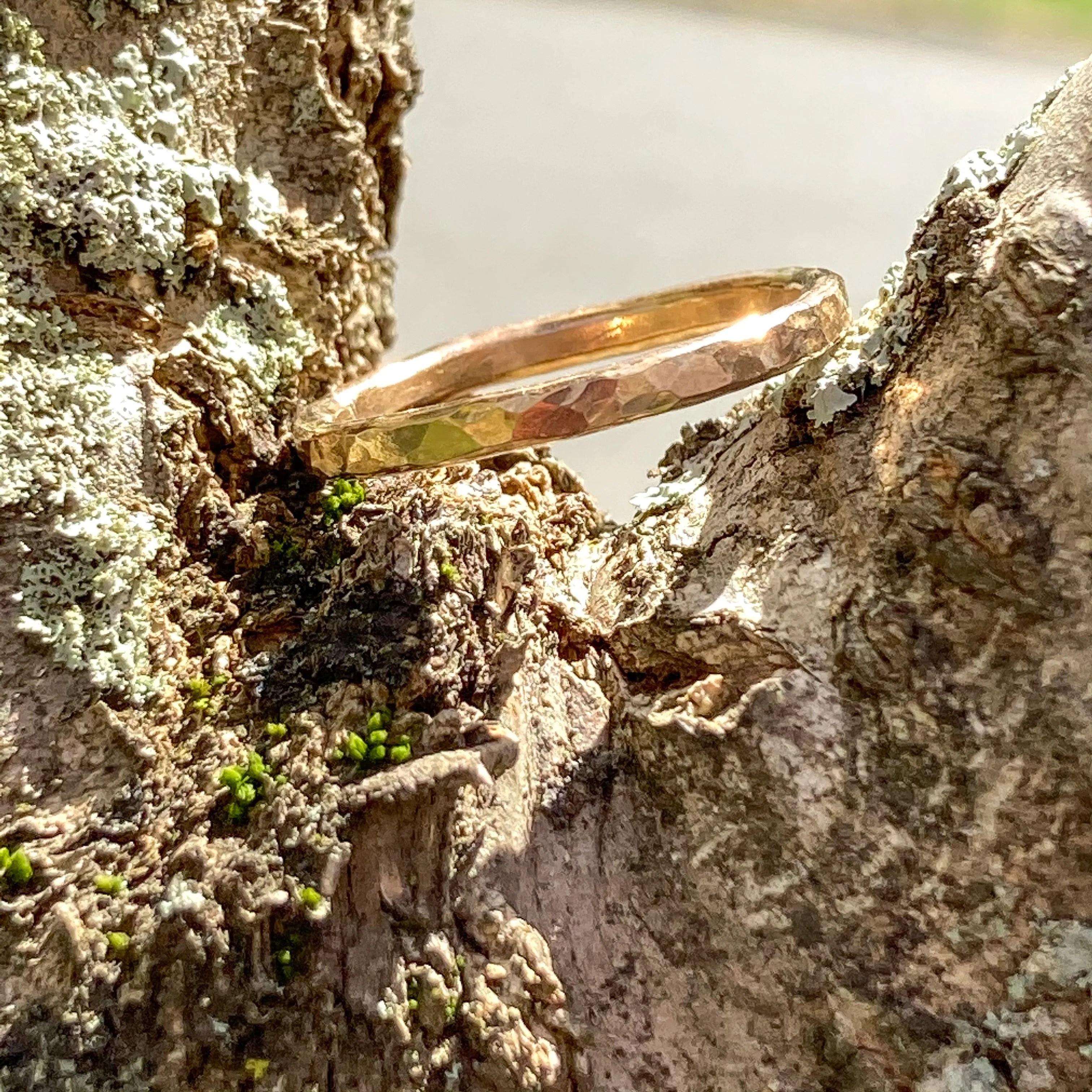 Birch Ring