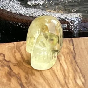 Citrine Skulls